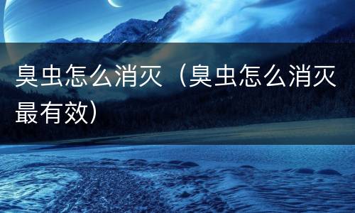 臭虫怎么消灭（臭虫怎么消灭最有效）