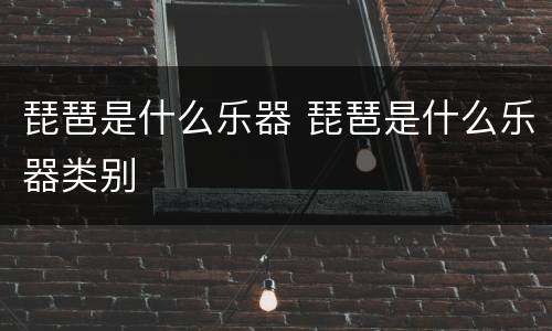 琵琶是什么乐器 琵琶是什么乐器类别