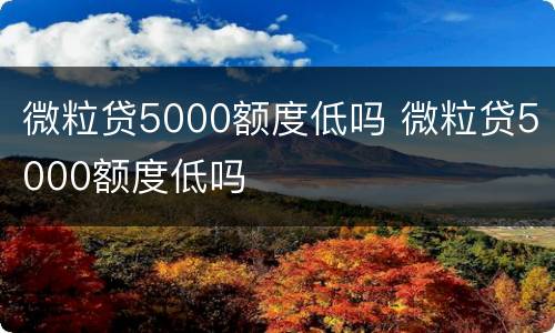微粒贷5000额度低吗 微粒贷5000额度低吗