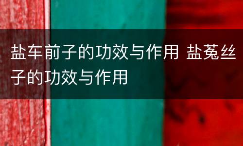 盐车前子的功效与作用 盐菟丝子的功效与作用