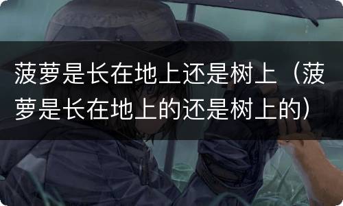 菠萝是长在地上还是树上（菠萝是长在地上的还是树上的）