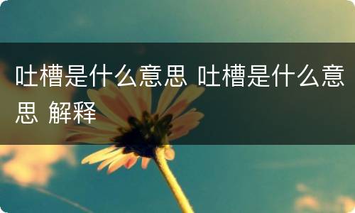 吐槽是什么意思 吐槽是什么意思 解释