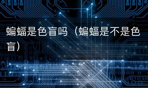 蝙蝠是色盲吗（蝙蝠是不是色盲）