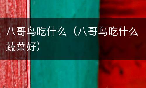 八哥鸟吃什么（八哥鸟吃什么蔬菜好）