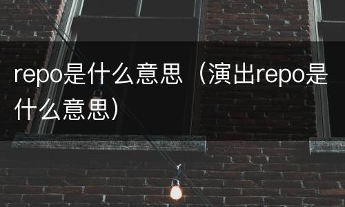 repo是什么意思（演出repo是什么意思）