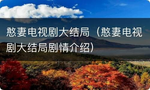 憨妻电视剧大结局（憨妻电视剧大结局剧情介绍）