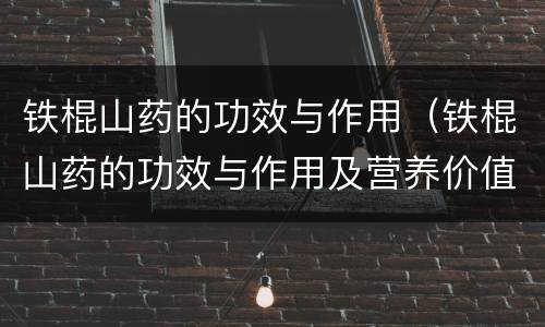 铁棍山药的功效与作用（铁棍山药的功效与作用及营养价值）