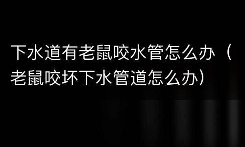 下水道有老鼠咬水管怎么办（老鼠咬坏下水管道怎么办）