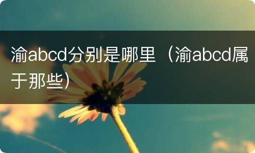 渝abcd分别是哪里（渝abcd属于那些）