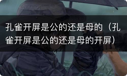 孔雀开屏是公的还是母的（孔雀开屏是公的还是母的开屏）