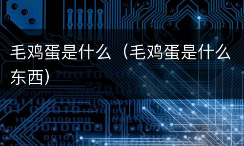 毛鸡蛋是什么（毛鸡蛋是什么东西）