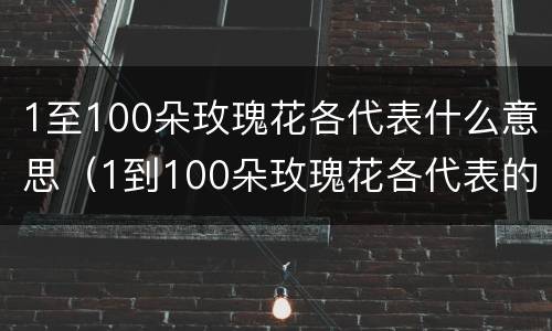 1至100朵玫瑰花各代表什么意思（1到100朵玫瑰花各代表的意思）