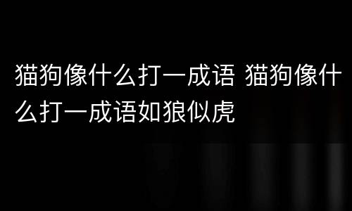 猫狗像什么打一成语 猫狗像什么打一成语如狼似虎
