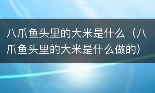八爪鱼头里的大米是什么（八爪鱼头里的大米是什么做的）