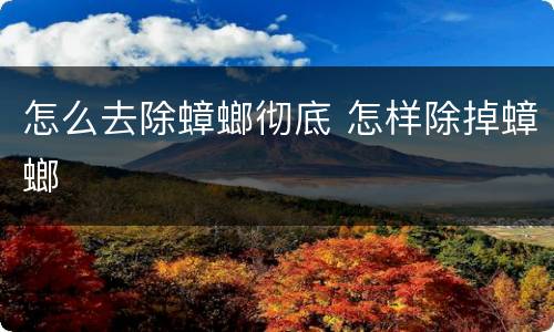 怎么去除蟑螂彻底 怎样除掉蟑螂