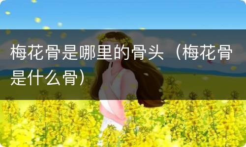 梅花骨是哪里的骨头（梅花骨是什么骨）