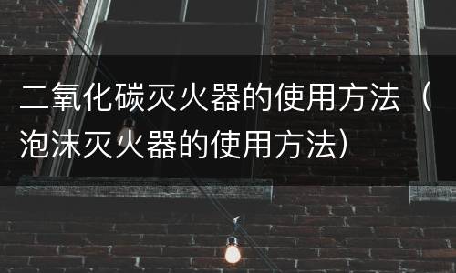 二氧化碳灭火器的使用方法（泡沫灭火器的使用方法）