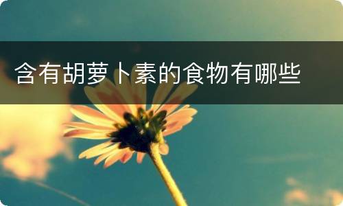 含有胡萝卜素的食物有哪些
