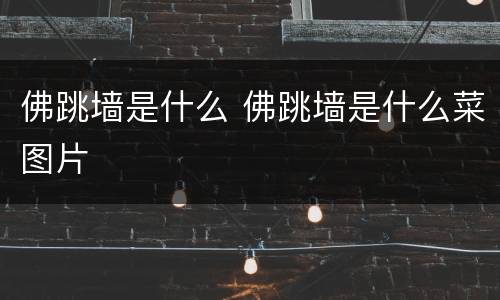 佛跳墙是什么 佛跳墙是什么菜图片