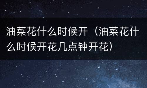 油菜花什么时候开（油菜花什么时候开花几点钟开花）