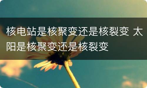 核电站是核聚变还是核裂变 太阳是核聚变还是核裂变