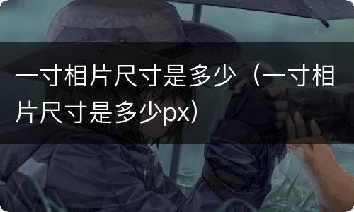 一寸相片尺寸是多少（一寸相片尺寸是多少px）