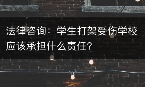 法律咨询：学生打架受伤学校应该承担什么责任？