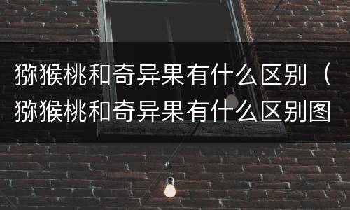 猕猴桃和奇异果有什么区别（猕猴桃和奇异果有什么区别图片）