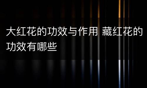 大红花的功效与作用 藏红花的功效有哪些