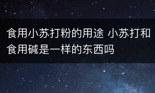 食用小苏打粉的用途 小苏打和食用碱是一样的东西吗