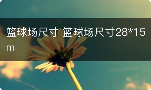 篮球场尺寸 篮球场尺寸28*15m