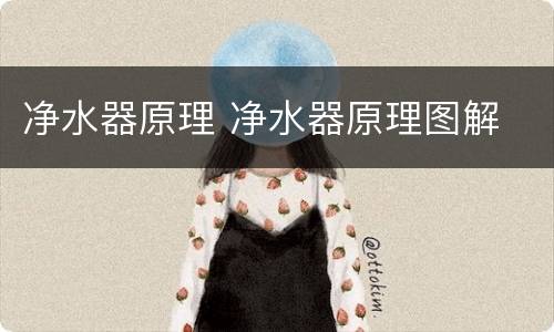 净水器原理 净水器原理图解