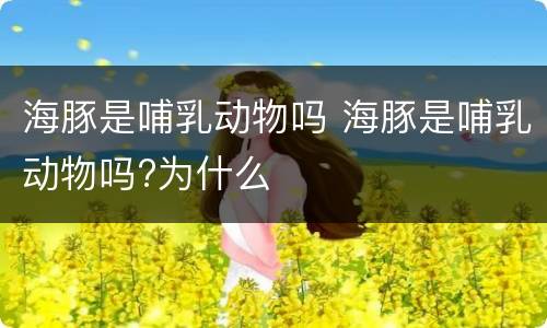 海豚是哺乳动物吗 海豚是哺乳动物吗?为什么