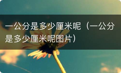 一公分是多少厘米呢（一公分是多少厘米呢图片）