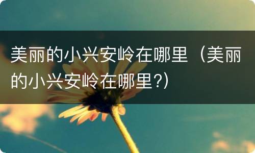美丽的小兴安岭在哪里（美丽的小兴安岭在哪里?）