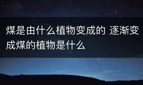 煤是由什么植物变成的 逐渐变成煤的植物是什么
