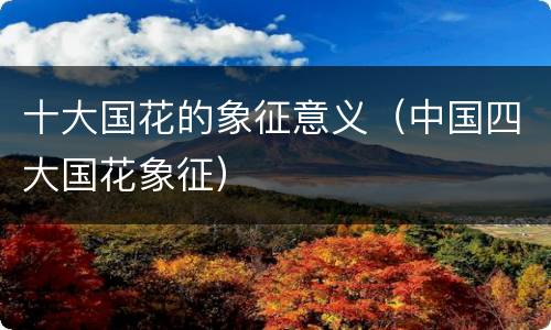 十大国花的象征意义（中国四大国花象征）
