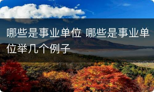 哪些是事业单位 哪些是事业单位举几个例子