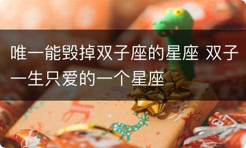 唯一能毁掉双子座的星座 双子一生只爱的一个星座