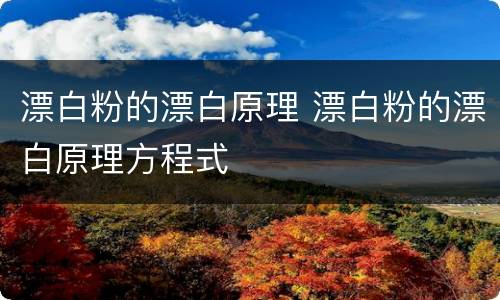 漂白粉的漂白原理 漂白粉的漂白原理方程式