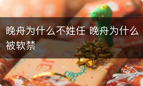 晚舟为什么不姓任 晚舟为什么被软禁