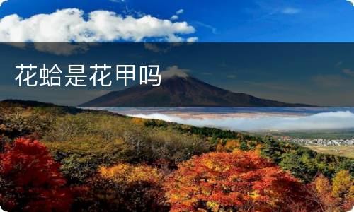 花蛤是花甲吗