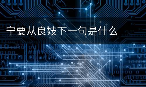 宁要从良妓下一句是什么