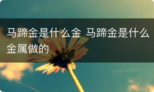 马蹄金是什么金 马蹄金是什么金属做的