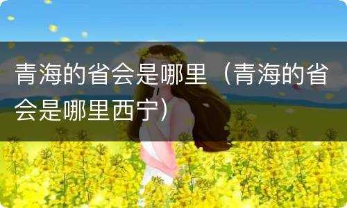 青海的省会是哪里（青海的省会是哪里西宁）