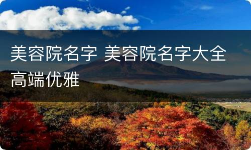 美容院名字 美容院名字大全 高端优雅