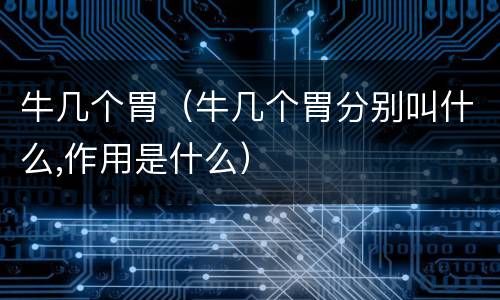 牛几个胃（牛几个胃分别叫什么,作用是什么）