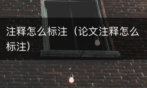 注释怎么标注（论文注释怎么标注）