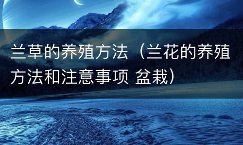 兰草的养殖方法（兰花的养殖方法和注意事项 盆栽）