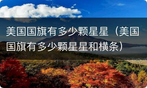 美国国旗有多少颗星星（美国国旗有多少颗星星和横条）